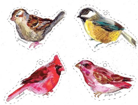 free bird photos to print.